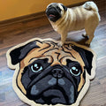 Custom Pet Cashmere Carpet