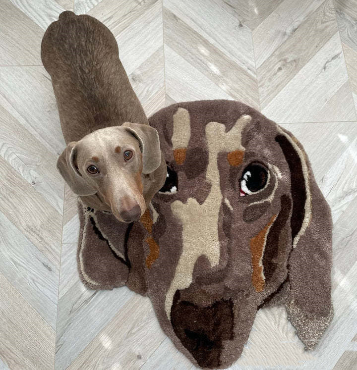 Custom Pet Cashmere Carpet